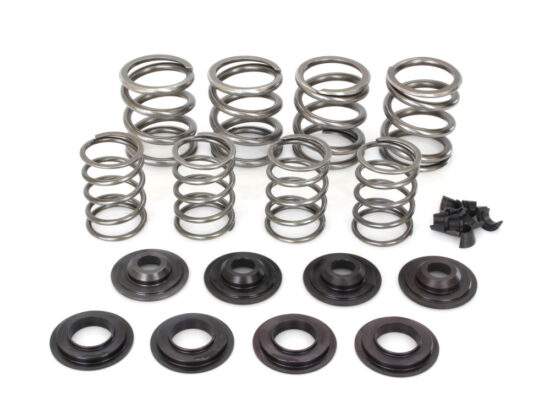 Taverner Motorsports - Valve Spring Kit; BT'48-84 .470" - AV-VSK470