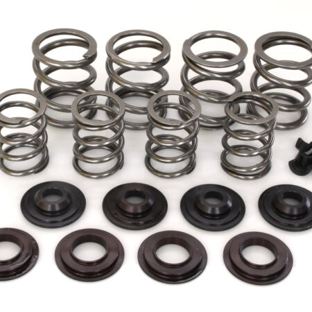 Taverner Motorsports - Valve Spring Kit; BT'48-84 .590" - AV-VSK590