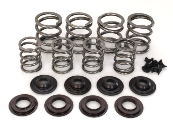 Taverner Motorsports - Valve Spring Kit; BT'48-84 .590" - AV-VSK590