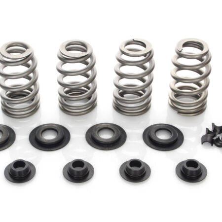 Taverner Motorsports - Valve Spring Kit; BT'84-04 .600" BH - AV-VSK6000S