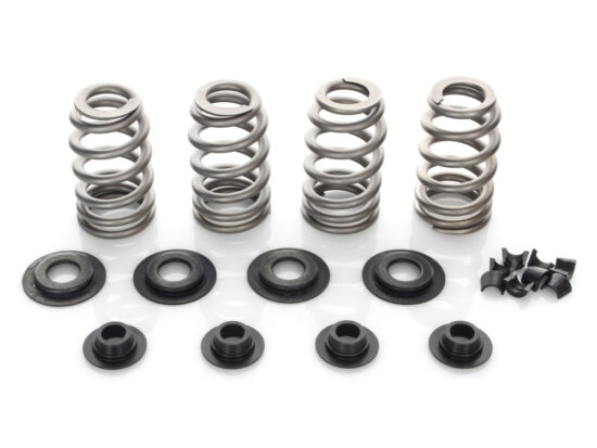 Taverner Motorsports - Valve Spring Kit; BT'84-04 .600" BH - AV-VSK6000S