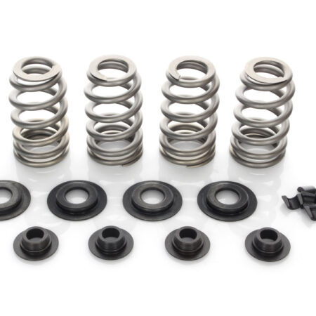 Taverner Motorsports - Valve Spring Kit; TC'05-17 .600" BH - AV-VSK6000S-7SG