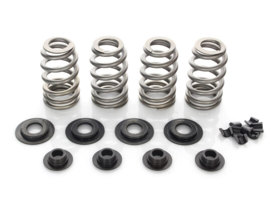 Taverner Motorsports - Valve Spring Kit; TC'05-17 .600" BH - AV-VSK6000S-7SG