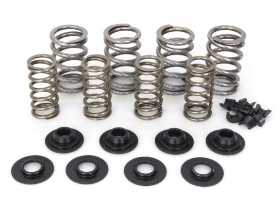 Taverner Motorsports - Valve Spring Kit; BT'84-04 .600" St - AV-VSK600S