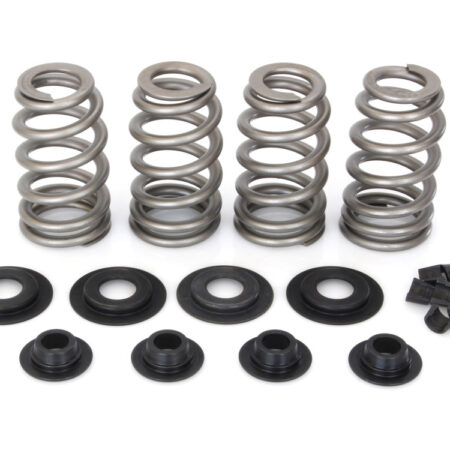 Taverner Motorsports - Valve Spring Kit; BT'84-04 .650" BH - AV-VSK6500