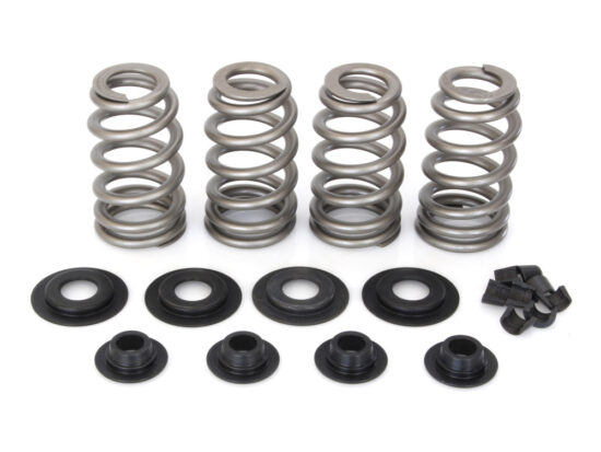 Taverner Motorsports - Valve Spring Kit; BT'84-04 .650" BH - AV-VSK6500