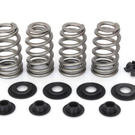 Taverner Motorsports - Valve Spring Kit; TC'05-17 .650" BH - AV-VSK65007SG