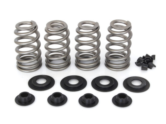 Taverner Motorsports - Valve Spring Kit; TC'05-17 .650" BH - AV-VSK65007SG