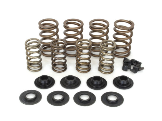 Taverner Motorsports - Valve Spring Kit; BT'84-04 .650 St - AV-VSK650S