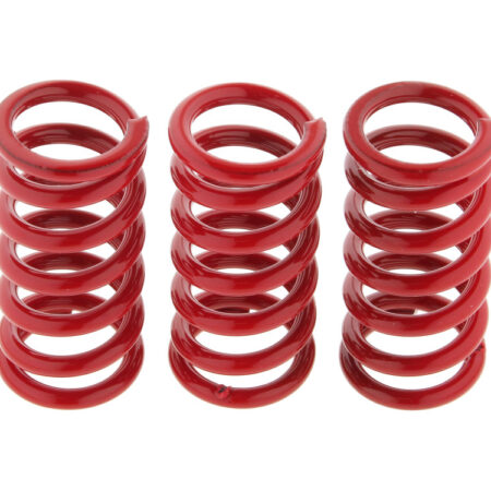 Taverner Motorsports - Clutch Springs; CVO BT'13up