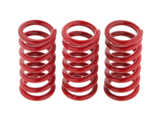 Taverner Motorsports - Clutch Springs; CVO BT'13up