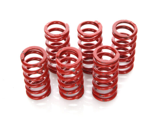 Taverner Motorsports - Clutch Springs; 100lb Red - B-501-99-06091