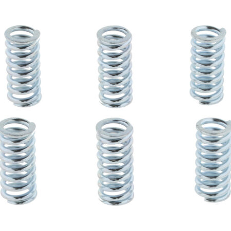 Taverner Motorsports - Clutch Springs; BDL Drive - BDL-ECS-100