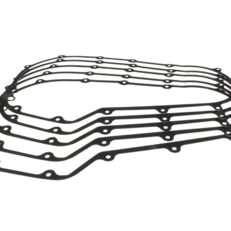 Taverner Motorsports - Gasket; Prim Cvr FLH'17up M8 (Pk5) - CG-C10198F5