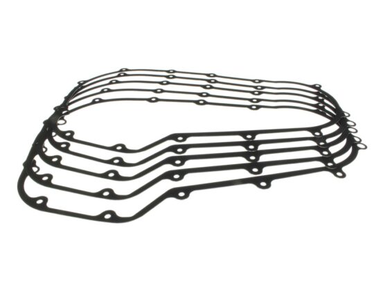 Taverner Motorsports - Gasket; Prim Cvr FLH'17up M8 (Pk5) - CG-C10198F5