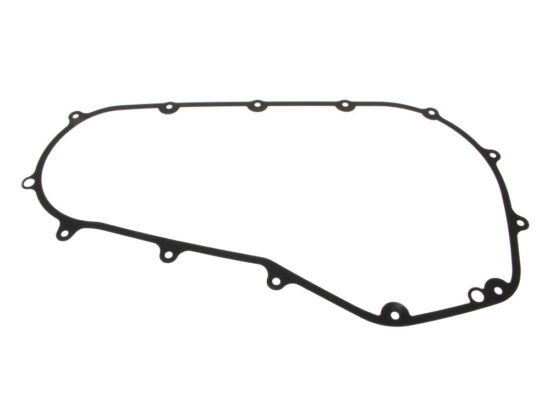 Taverner Motorsports - Gasket; Prim Cvr M8 S/Tail'18up - CG-C10241F1