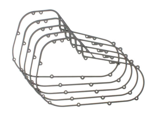 Taverner Motorsports - Gasket; Prim Cvr FXR