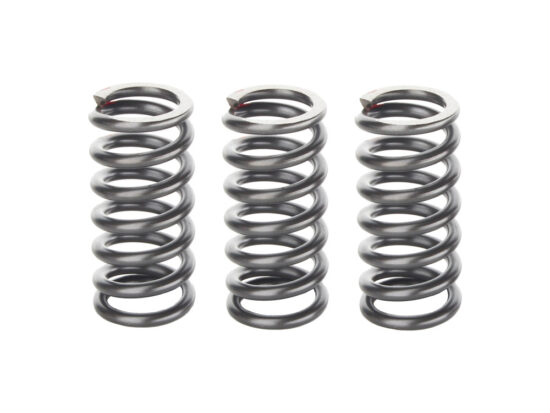 Taverner Motorsports - Clutch Springs; CVO BT'13up