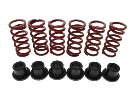 Taverner Motorsports - Clutch Springs; BT'98up (Red) for - EVO-1015-2073