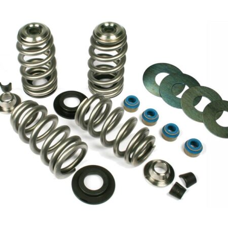 Taverner Motorsports - Valve Spring Kit; BT'84-04 .650" BH - FE-1100