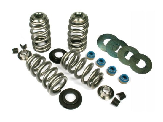 Taverner Motorsports - Valve Spring Kit; BT'84-04 .650" BH - FE-1100