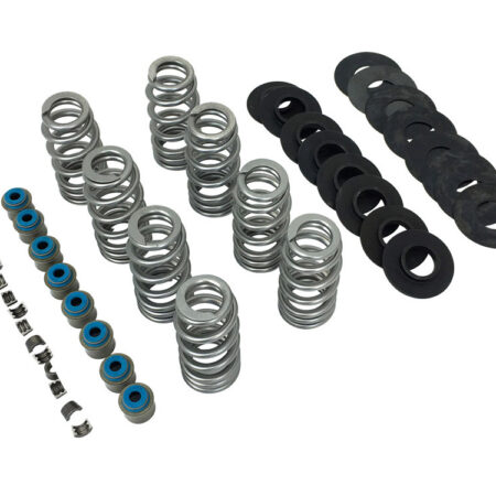 Taverner Motorsports - Valve Spring Kit; M8'17up .565" - FE-1107