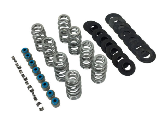 Taverner Motorsports - Valve Spring Kit; M8'17up .565" - FE-1107