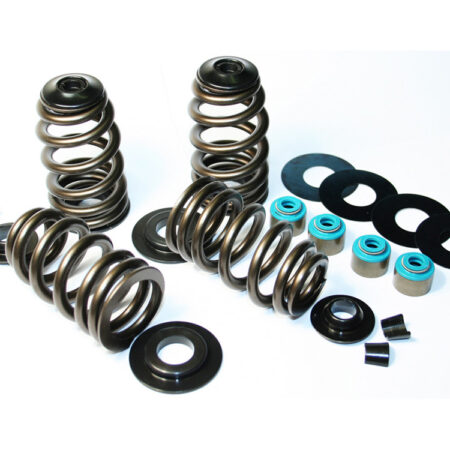 Taverner Motorsports - Valve Spring Kit; BT'84-04 .585" BH - FE-1120