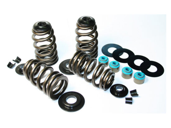 Taverner Motorsports - Valve Spring Kit; BT'84-04 .585" BH - FE-1120