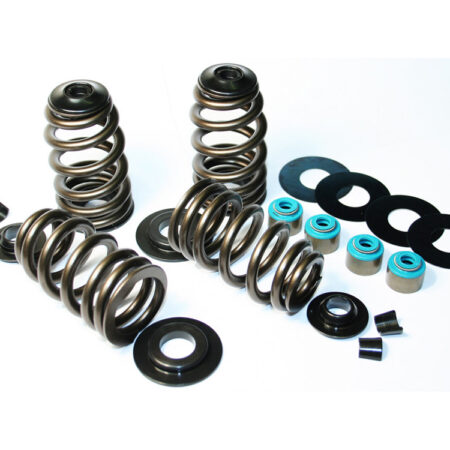 Taverner Motorsports - Valve Spring Kit; TC'05-17 .585" BH - FE-1121