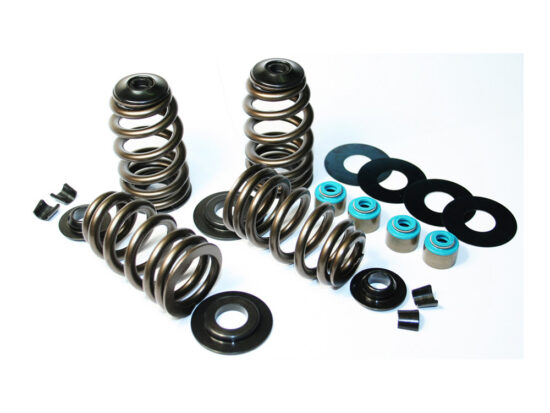 Taverner Motorsports - Valve Spring Kit; TC'05-17 .585" BH - FE-1121