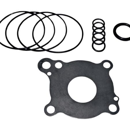 Taverner Motorsports - O/Pump Rebuild Kit; Fueling '99-06 - FE-7001