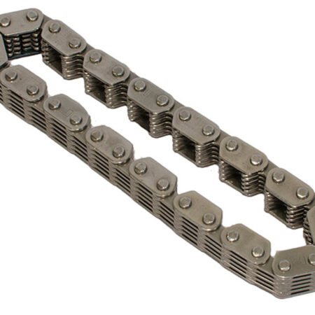 Taverner Motorsports - Cam Chain; Inner