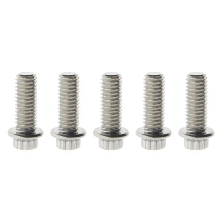 Taverner Motorsports - Bolts; Disc RR