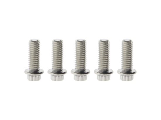 Taverner Motorsports - Bolts; Disc RR