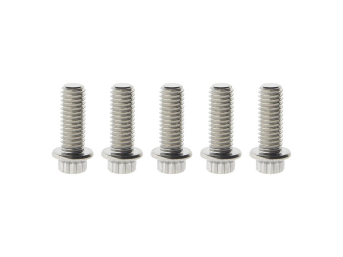 Taverner Motorsports - Bolts; Disc RR
