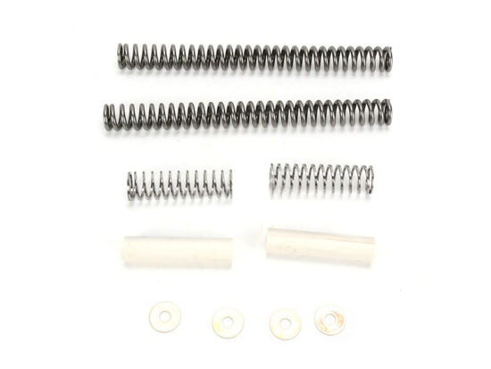 Taverner Motorsports - Fork Springs; Lowered S/Tail'84-17 - PS-10-2003