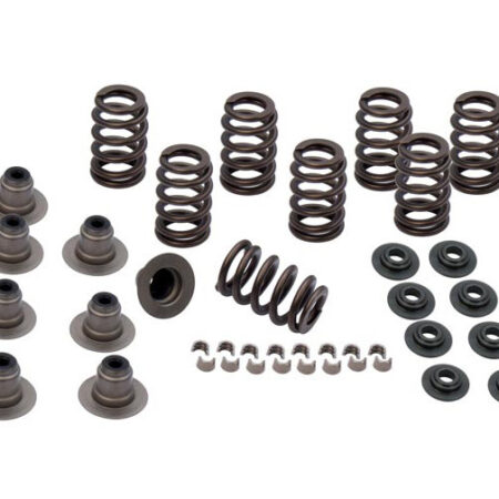 Taverner Motorsports - Valve Spring Kit; M8'17up .605" - SS900-0958