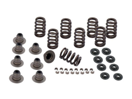 Taverner Motorsports - Valve Spring Kit; M8'17up .605" - SS900-0958