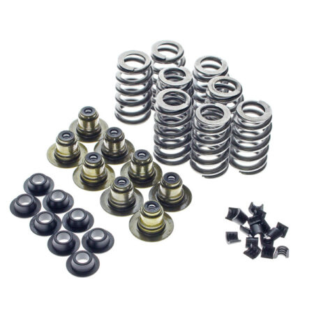 Taverner Motorsports - Valve Spring Kit; M8'17up .625" - AV-VSK8000TGHP