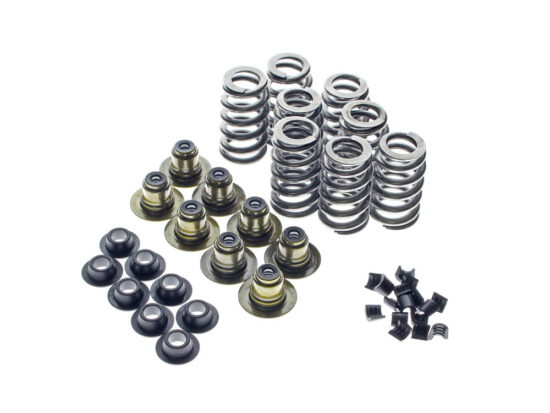 Taverner Motorsports - Valve Spring Kit; M8'17up .625" - AV-VSK8000TGHP