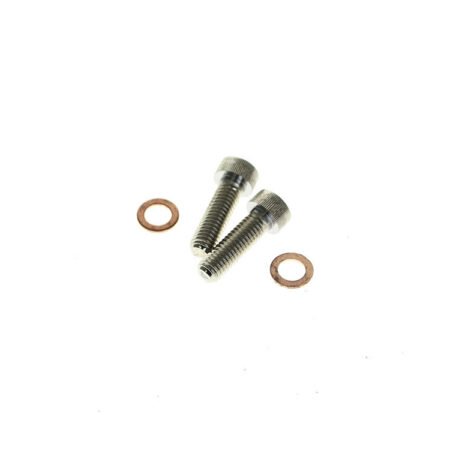 Taverner Motorsports - Damper Tube Screw & Washer (Pair) - BAI-C23-0237NU-2