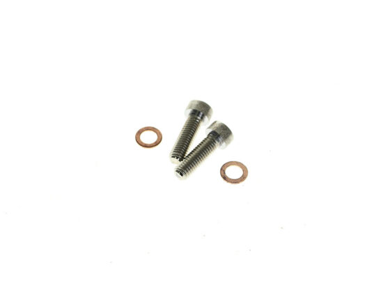 Taverner Motorsports - Damper Tube Screw & Washer (Pair) - BAI-C23-0237NU-2