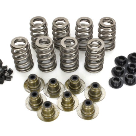 Taverner Motorsports - Valve Spring Kit; M8'17up .580" - AV-VSK8000TG