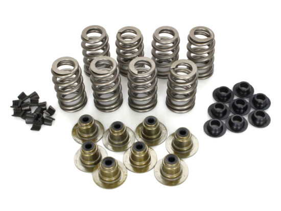 Taverner Motorsports - Valve Spring Kit; M8'17up .580" - AV-VSK8000TG