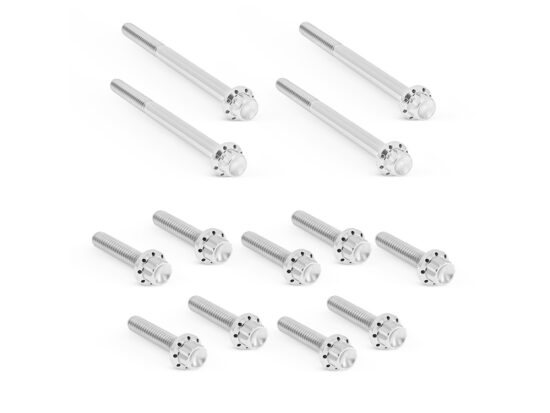 Titanium 12-Point Primary Cover Bolt Kit - Polished. Fits Softail 2018up Non-240 Tyre Models