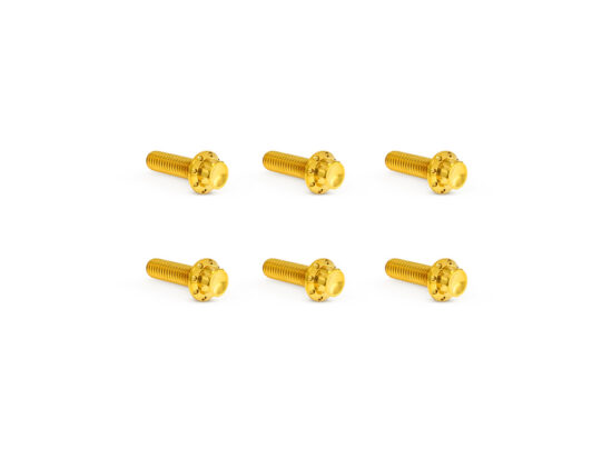 Titanium 12-Point Transmission Top Cover Bolt Kit - Gold. Fits Softail 2007-2024, Most Touring 2007-2024 & Dyna 2006-2017