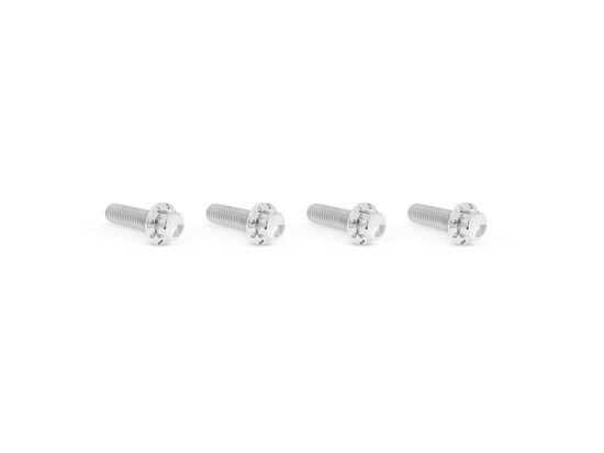 Titanium 12-Point Transmission Top Cover Bolt Kit or Clutch & Brake Perch Bolt Kit - Polished. Fits CVO Touring 2023up, Street Glide & Road Glide 2024up, Touring 2025up & Softail 2025up