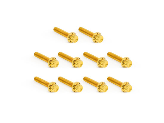 Titanium 12-Point Cam Cover Bolt Kit - Gold. Fits Twin Cam 1999-2017