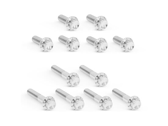 Titanium 12-Point Rocker Cover Bolt Kit - Polished. Fits Twin Cam 1999-2017